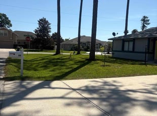 James H.'s grass maintenance service result