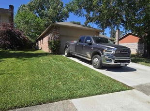 Ana R.'s gardening service service result