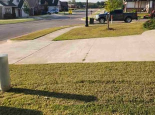 Joann A.'s lawn maintenance service result