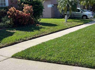 Dianna A.'s landscape maintenance service result