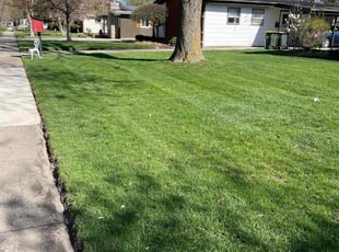Nancy C.'s lawn service service result