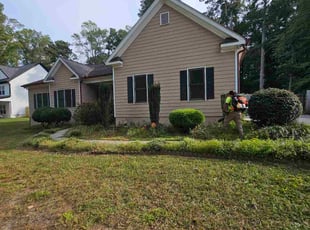 Jared C.'s Bush Trimming service result