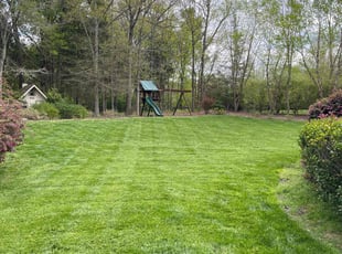 Ashley S.'s grass maintenance service result