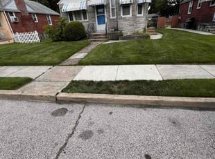 Alexander A.'s grass cutting service result