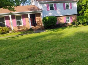 lan S.'s lawn care service result