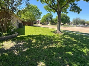 Steve T.'s grass cutting service result