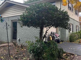 Hannah K.'s Bush Trimming service result