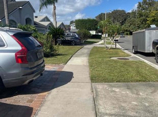 William p.'s lawn care service result