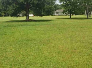 Nicolas K.'s lawn service service result