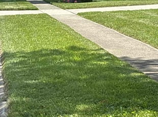 Brenda S.'s lawn care service result