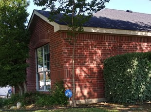 Angel J.'s Bush Trimming service result