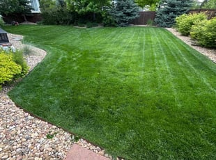Jean N.'s turf maintenance service result