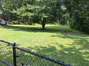 Vanessa M.'s grass maintenance service result