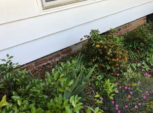 Valerie G.'s Bush Trimming service result