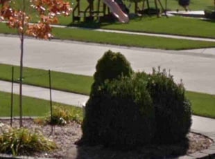Josiah M.'s Bush Trimming service result