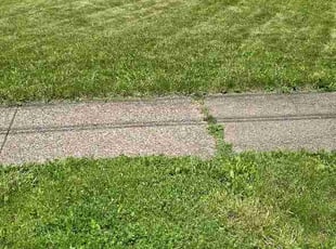 Charlie L.'s grass maintenance service result