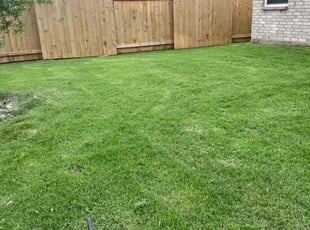 Jessica M.'s grass maintenance service result