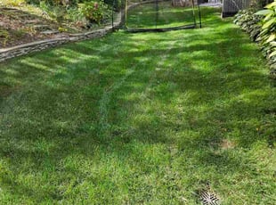Sherri J.'s grass cutting service result