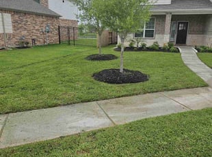 Pam H.'s grass maintenance service result