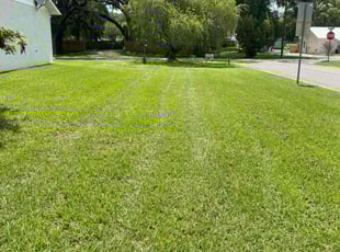 Ronald D.'s lawn care service result