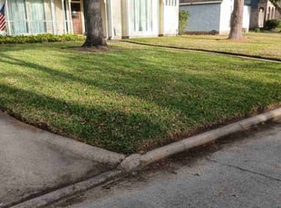 Ilya B.'s grass maintenance service result