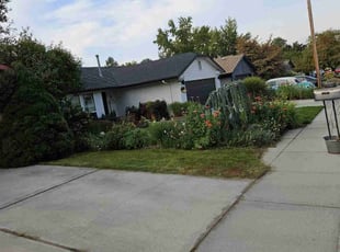 Paul S.'s lawn service service result