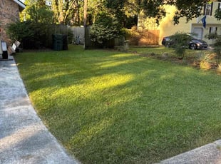 Randall K.'s lawn maintenance service result