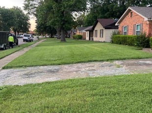 Bernard Y.'s grass cutting service result