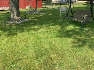 Susan K.'s grass cutting service result