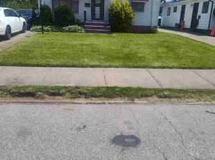 Cynthia S.'s lawn service service result