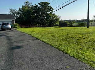 Shaneika H.'s turf maintenance service result