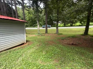 Monica F.'s grass cutting service result