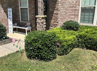 Doris H.'s Bush Trimming service result