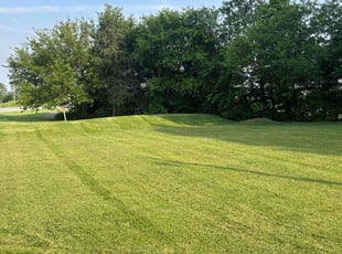 Leaza S.'s lawn maintenance service result