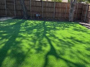 Lisa P.'s Leaf Removal service result