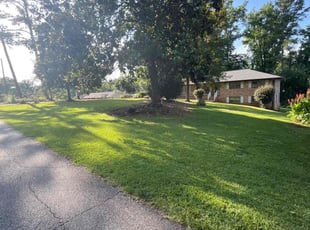 Jermaine A.'s lawn maintenance service result