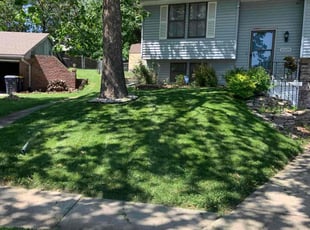 Lillian P.'s lawn care services service result