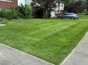 Daniel F.'s grass cutting service result