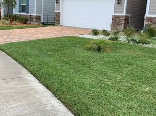 Alicia S.'s grass maintenance service result