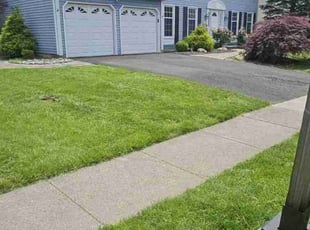 Austin R.'s grass cutting service result