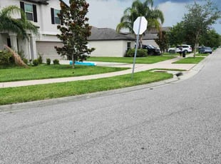 Valerie B.'s turf maintenance service result