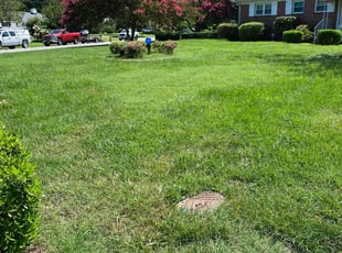 Sherry O.'s grass cutting service result