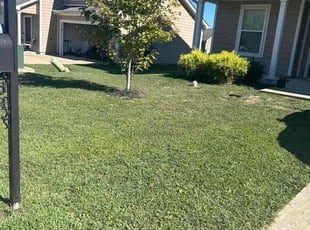 Ana o.'s turf maintenance service result