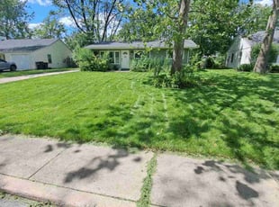 Habeeb K.'s grass maintenance service result