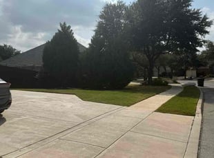 Jason C.'s turf care service result