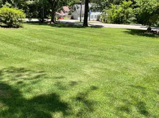 Ines C.'s turf maintenance service result