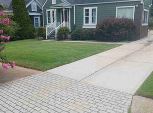 Mitchell M.'s turf care service result