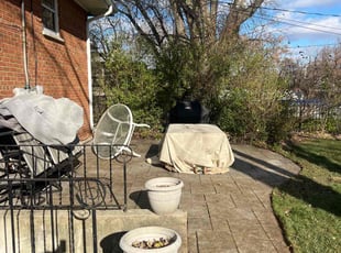 David K.'s Leaf Removal service result