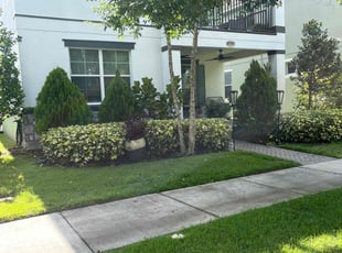 Shevette S.'s Bush Trimming service result