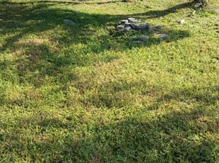 Caryn D.'s lawn service service result